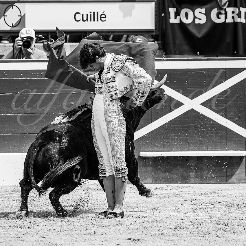 20250719 nov mt de marsan 028