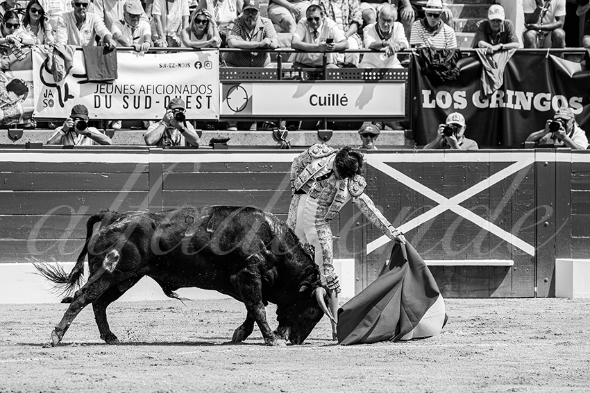 20250719 nov mt de marsan 027