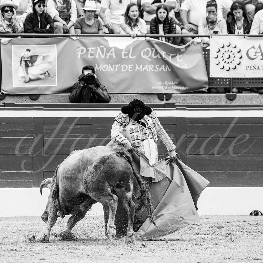 20250719 nov mt de marsan 026