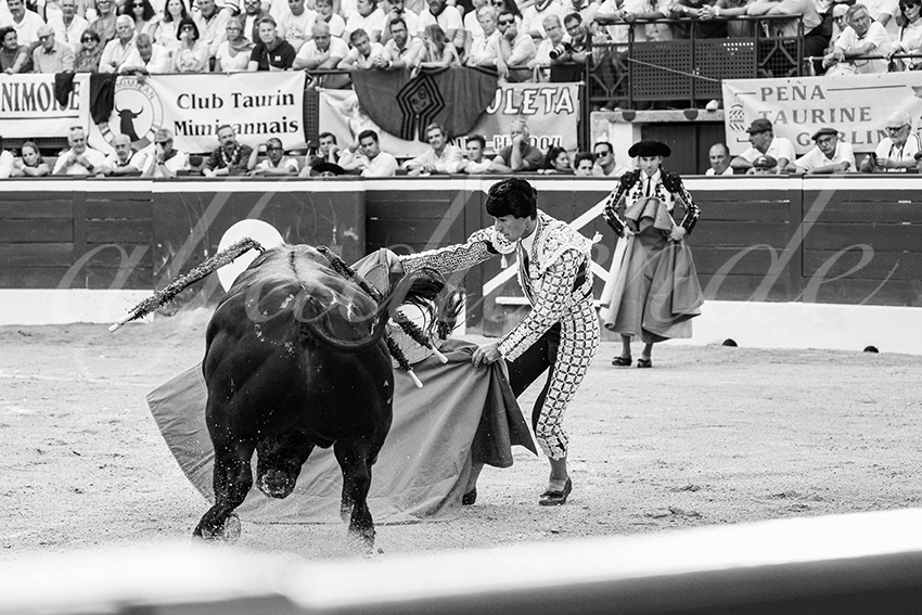 20250719 mt de marsan cuadrillas 017 copie