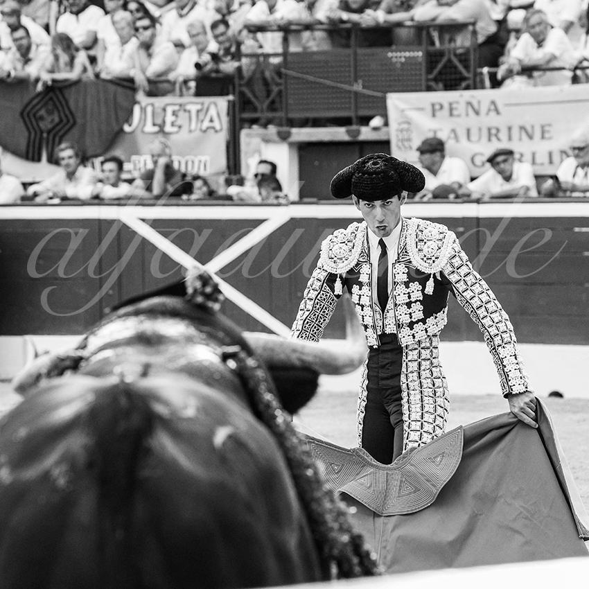 20250719 mt de marsan cuadrillas 016 copie