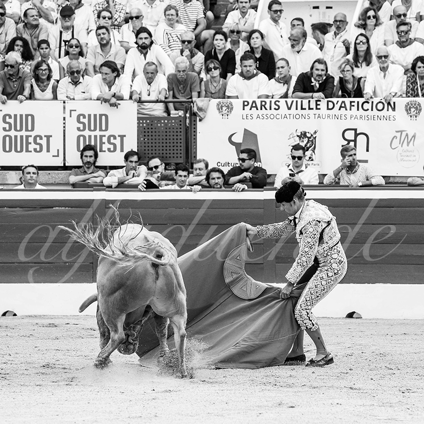 20250719 mt de marsan cuadrillas 011 copie