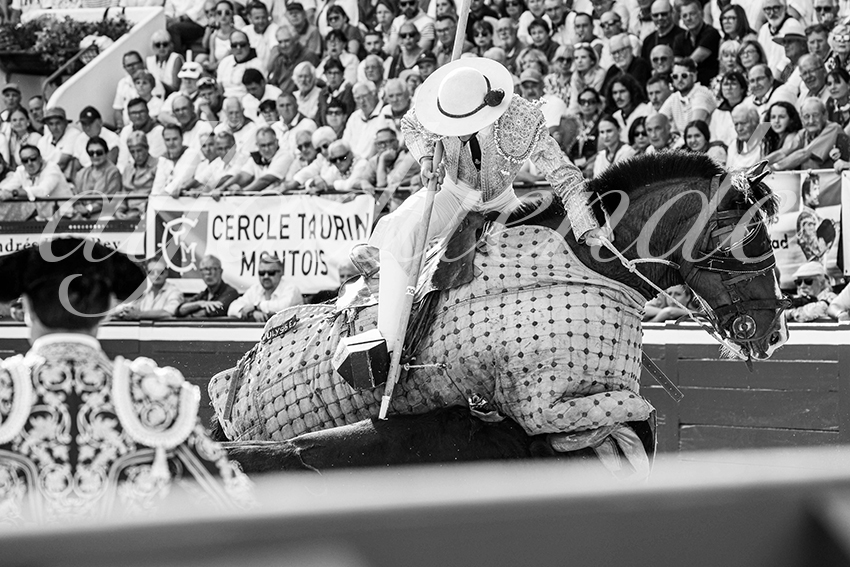 20250719 mt de marsan cuadrillas 006 copie