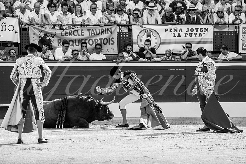 20250719 mt de marsan cuadrillas 005 copie