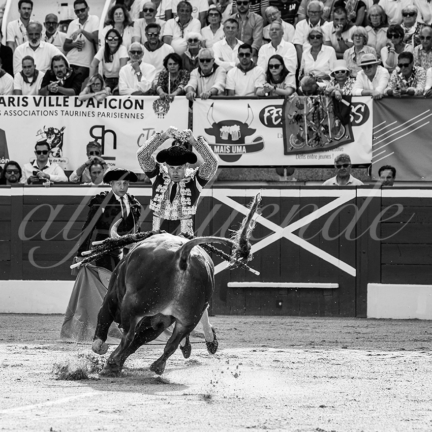 20250719 mt de marsan cuadrillas 004 copie