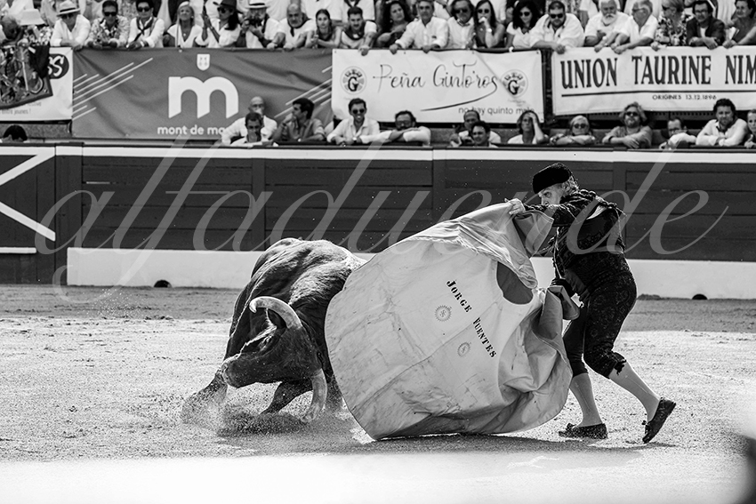 20250719 mt de marsan cuadrillas 003 copie