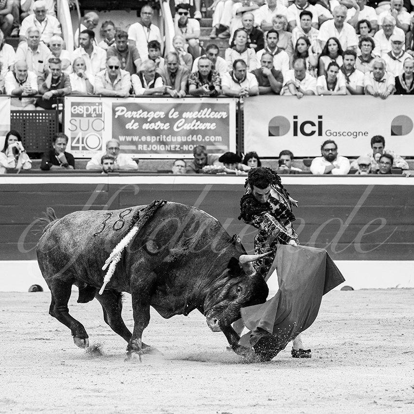 20250720 mt de marsan 012