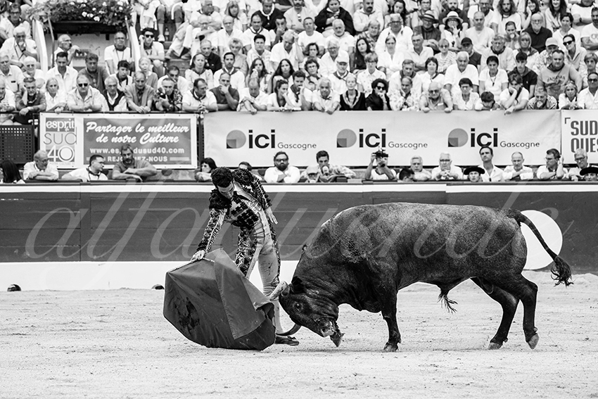 20250720 mt de marsan 011