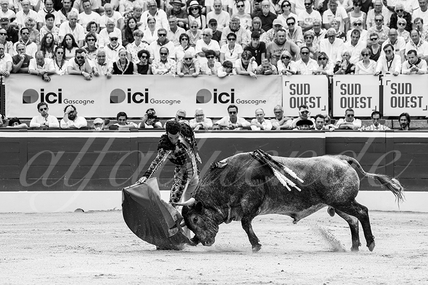 20250720 mt de marsan 009