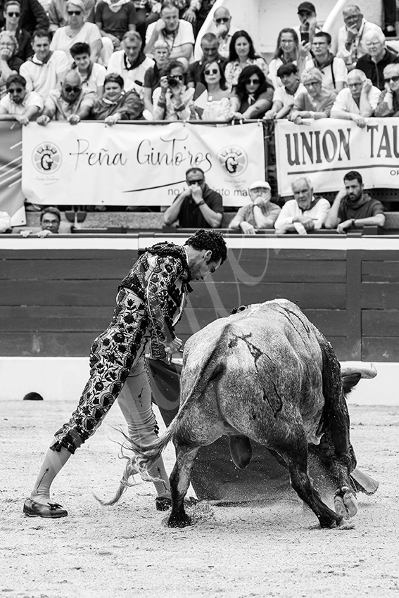 20250720 mt de marsan 008