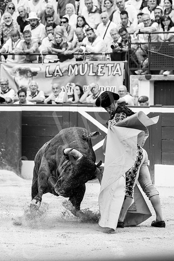 20250720 mt de marsan 007