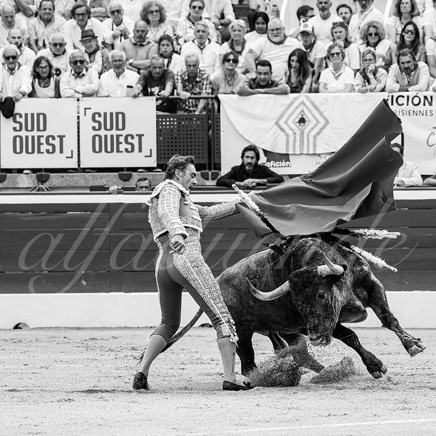 20250720 mt de marsan 005