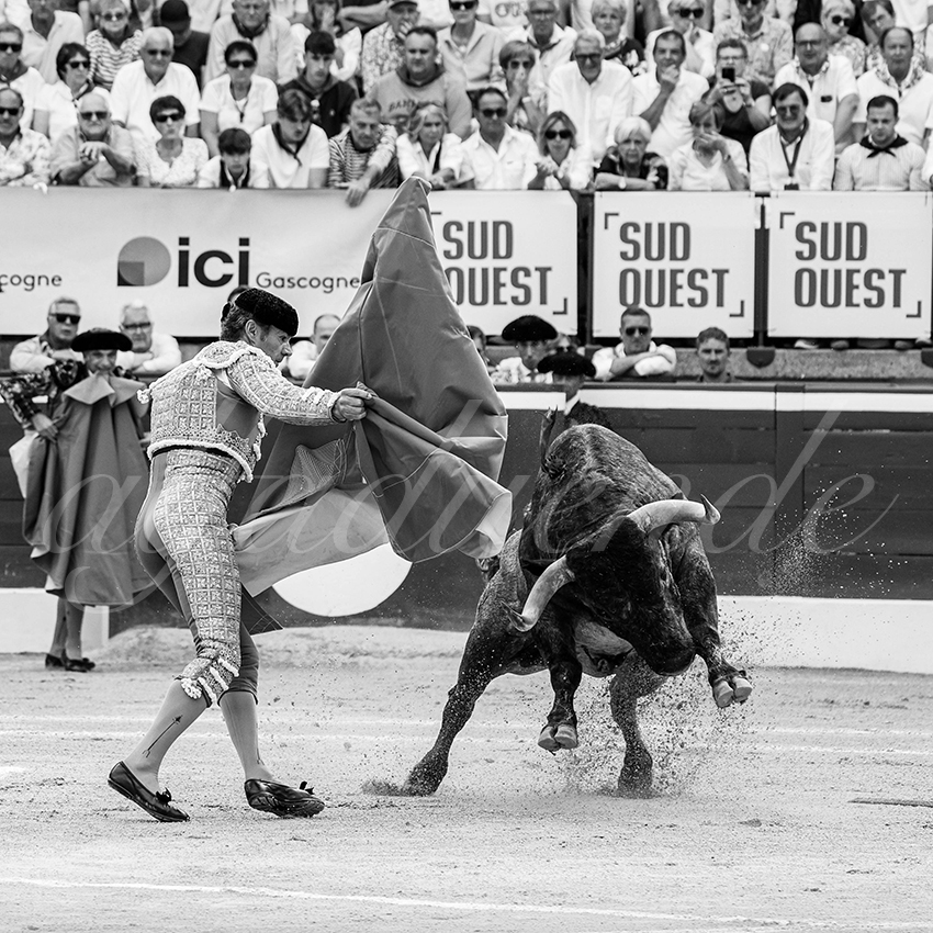 20250720 mt de marsan 004