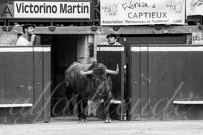 20250720 mt de marsan 003