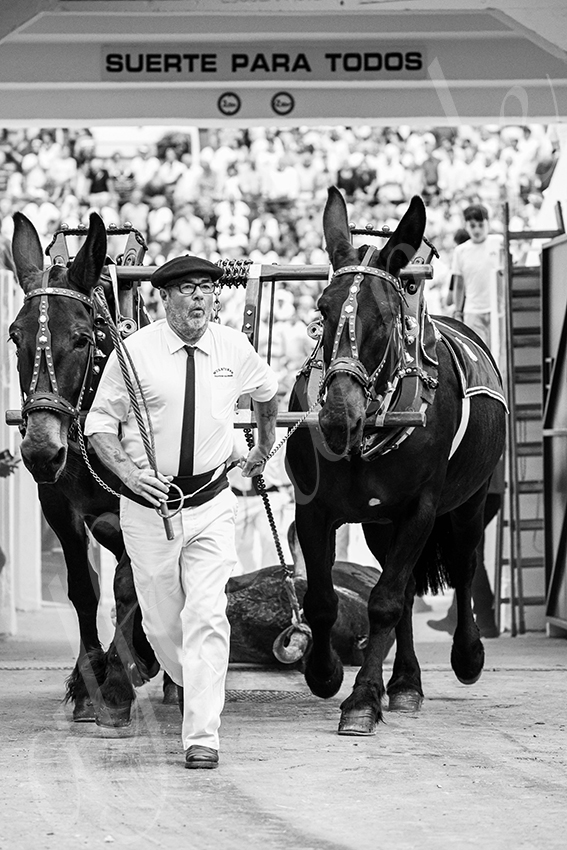 20250720 mt de marsan 030