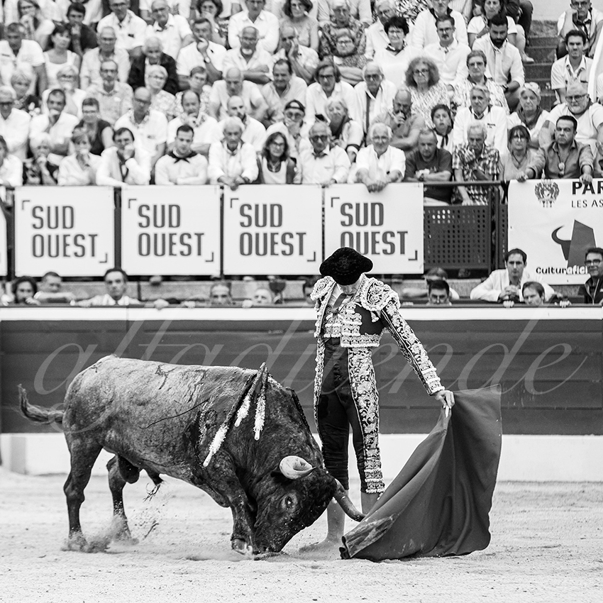 20250720 mt de marsan 028