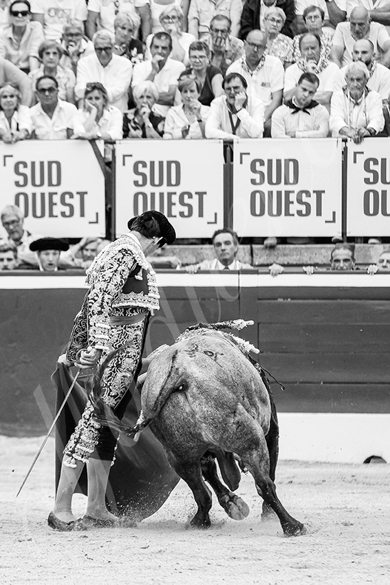 20250720 mt de marsan 027