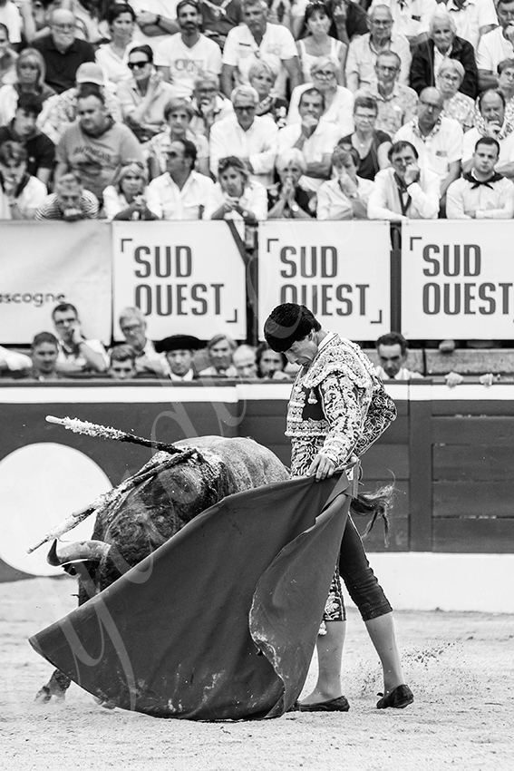 20250720 mt de marsan 026