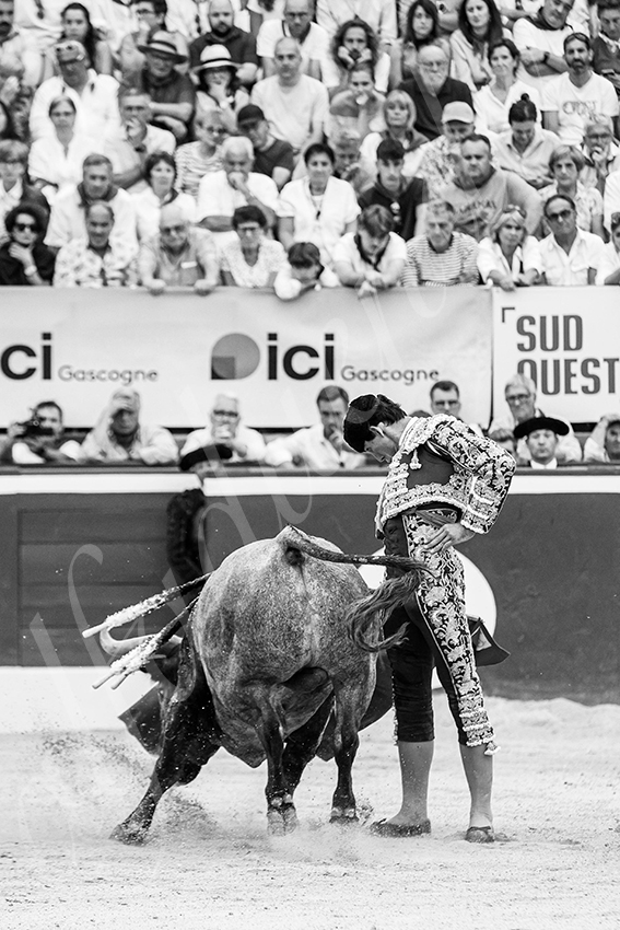 20250720 mt de marsan 025