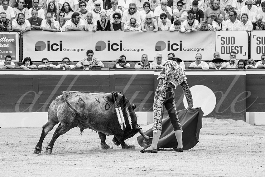 20250720 mt de marsan 024