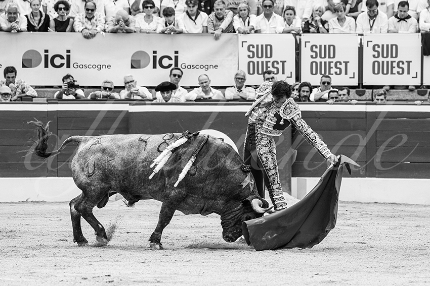 20250720 mt de marsan 023