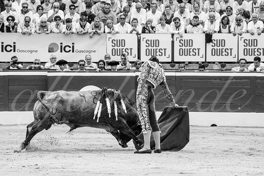 20250720 mt de marsan 022