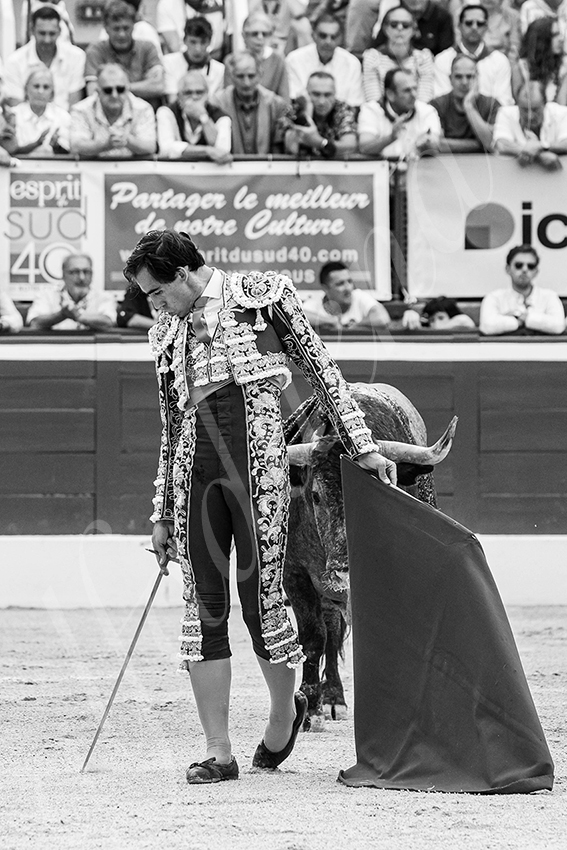 20250720 mt de marsan 021