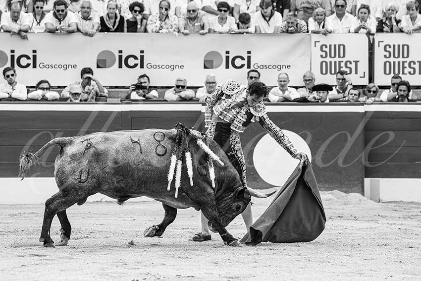 20250720 mt de marsan 020