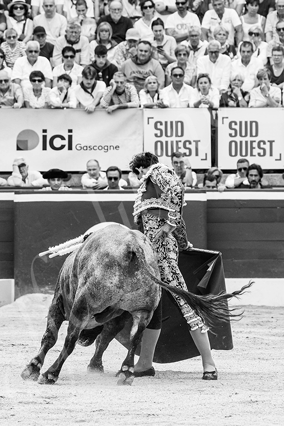 20250720 mt de marsan 019