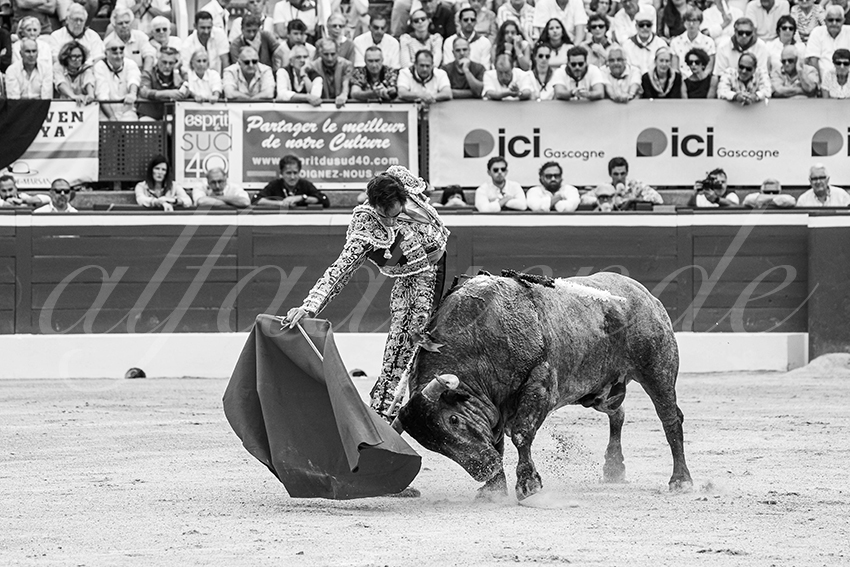 20250720 mt de marsan 018