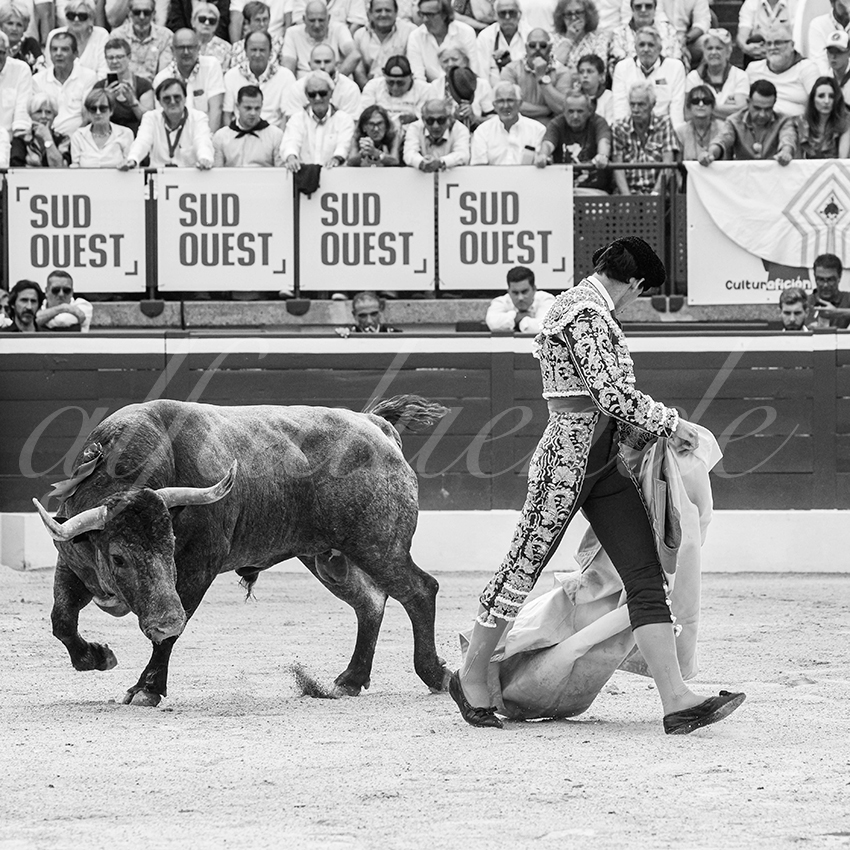 20250720 mt de marsan 016