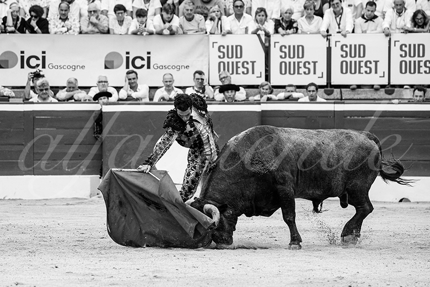 20250720 mt de marsan 014