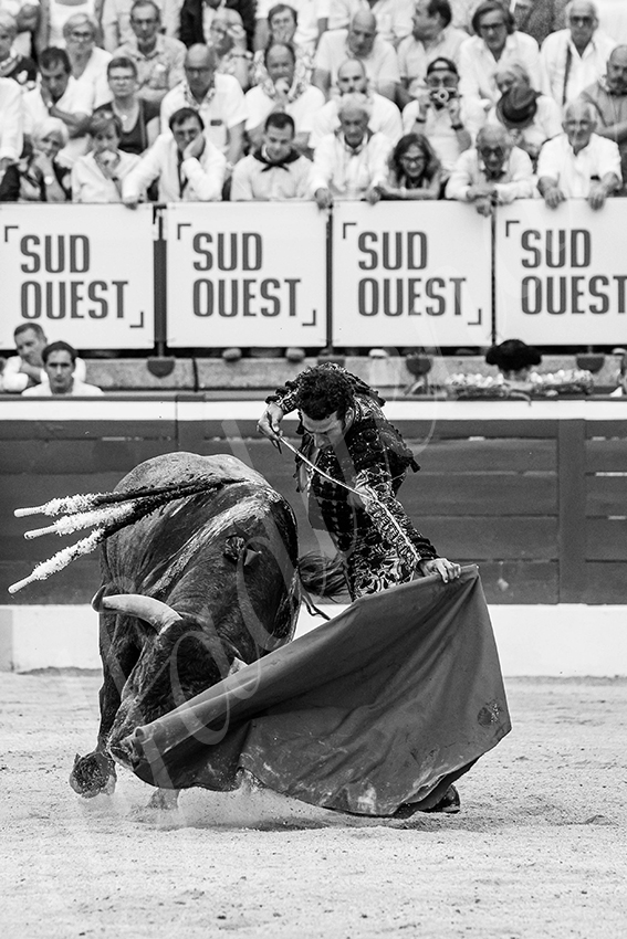 20250720 mt de marsan 013