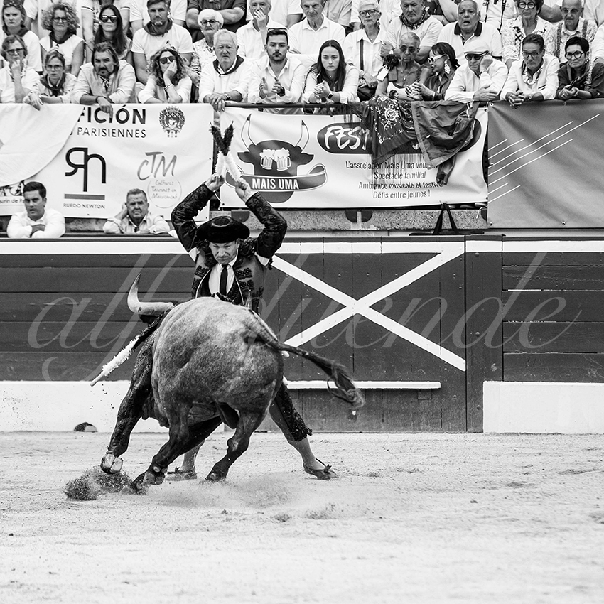 20250720 mt de marsan cuadrillas 011 copie