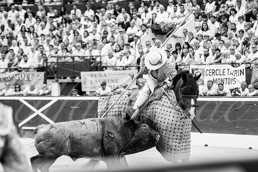 20250720 mt de marsan cuadrillas 010 copie