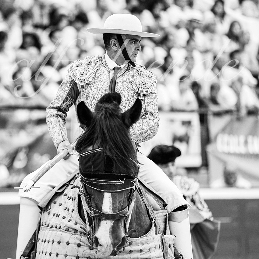 20250720 mt de marsan cuadrillas 009 copie