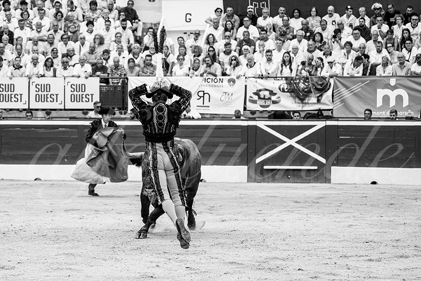 20250720 mt de marsan cuadrillas 008 copie