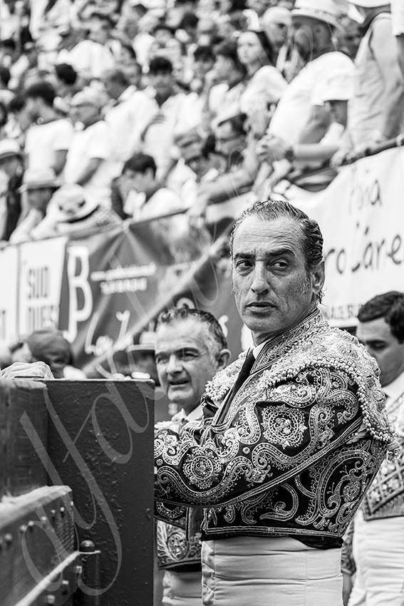 20250720 mt de marsan cuadrillas 007 copie