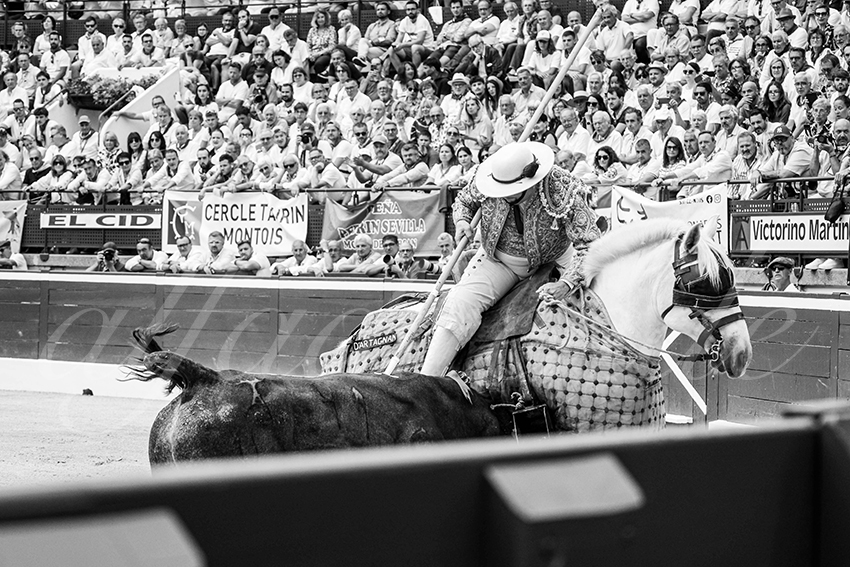 20250720 mt de marsan cuadrillas 005 copie