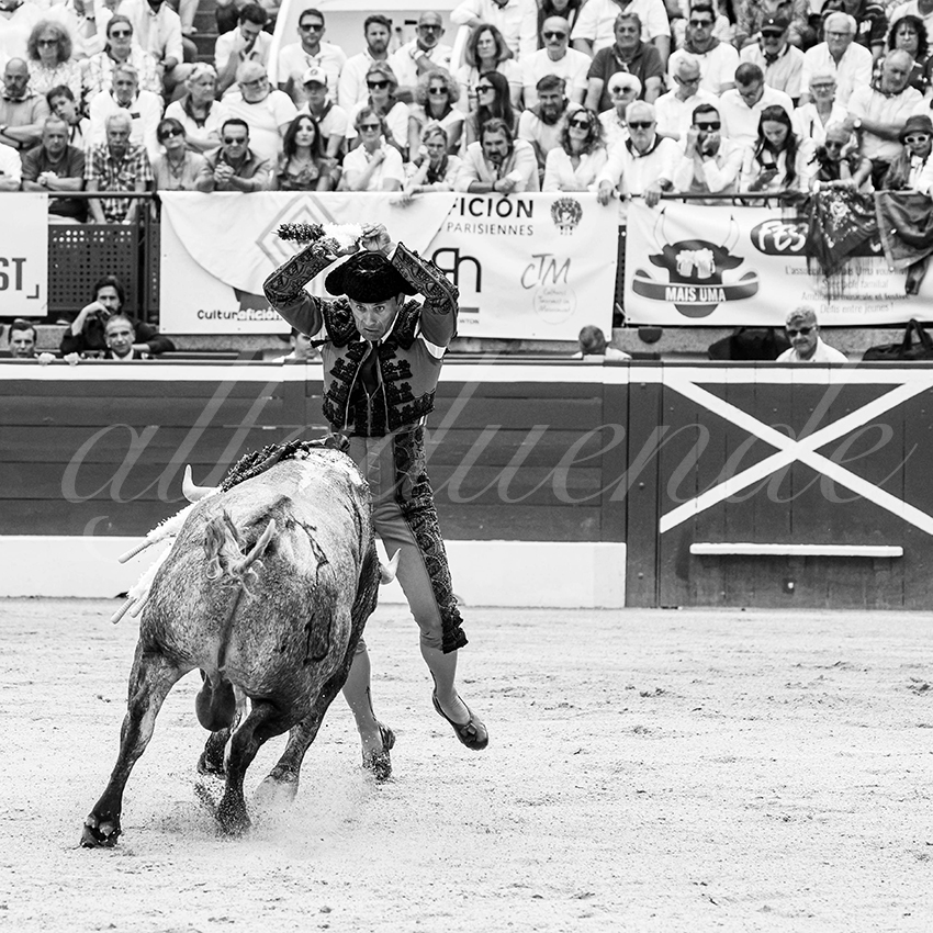 20250720 mt de marsan cuadrillas 003 copie