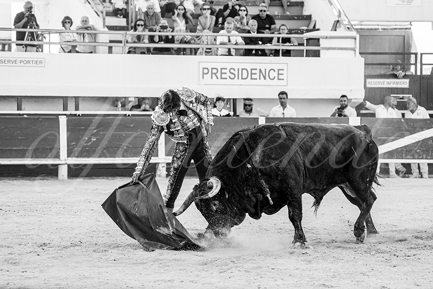 20250803 les stes 011