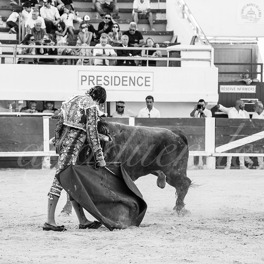 20250803 les stes 010