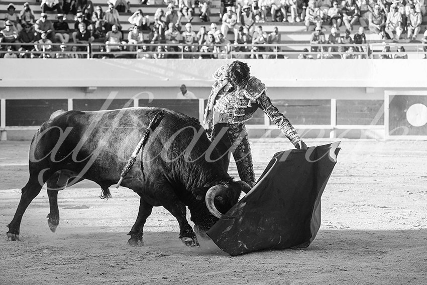 20250803 les stes 009