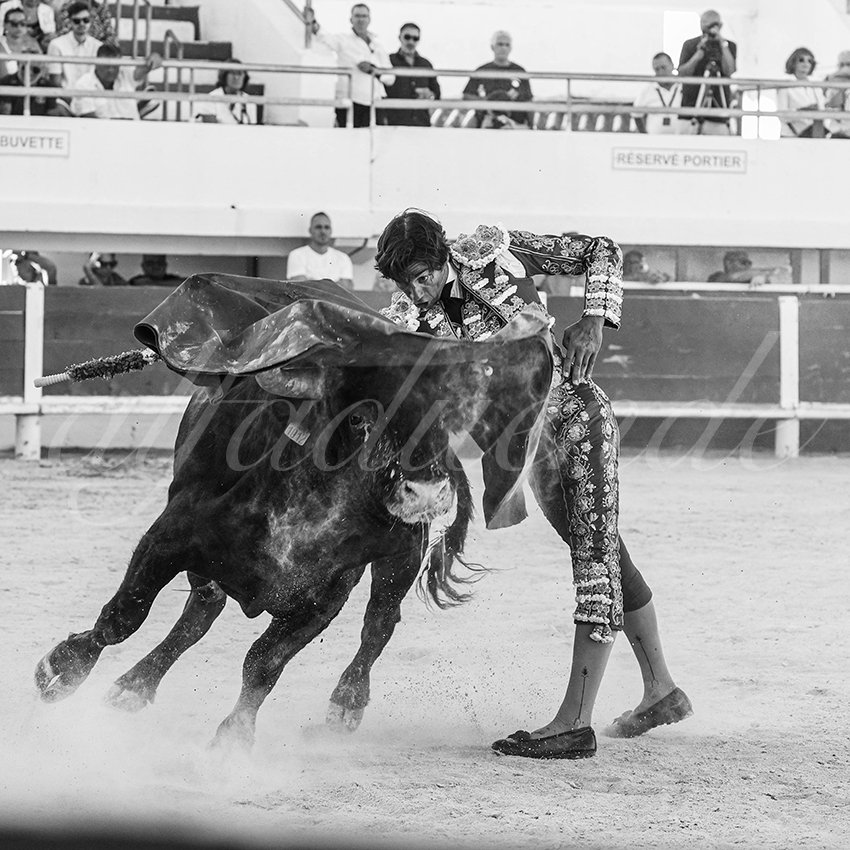 20250803 les stes 008