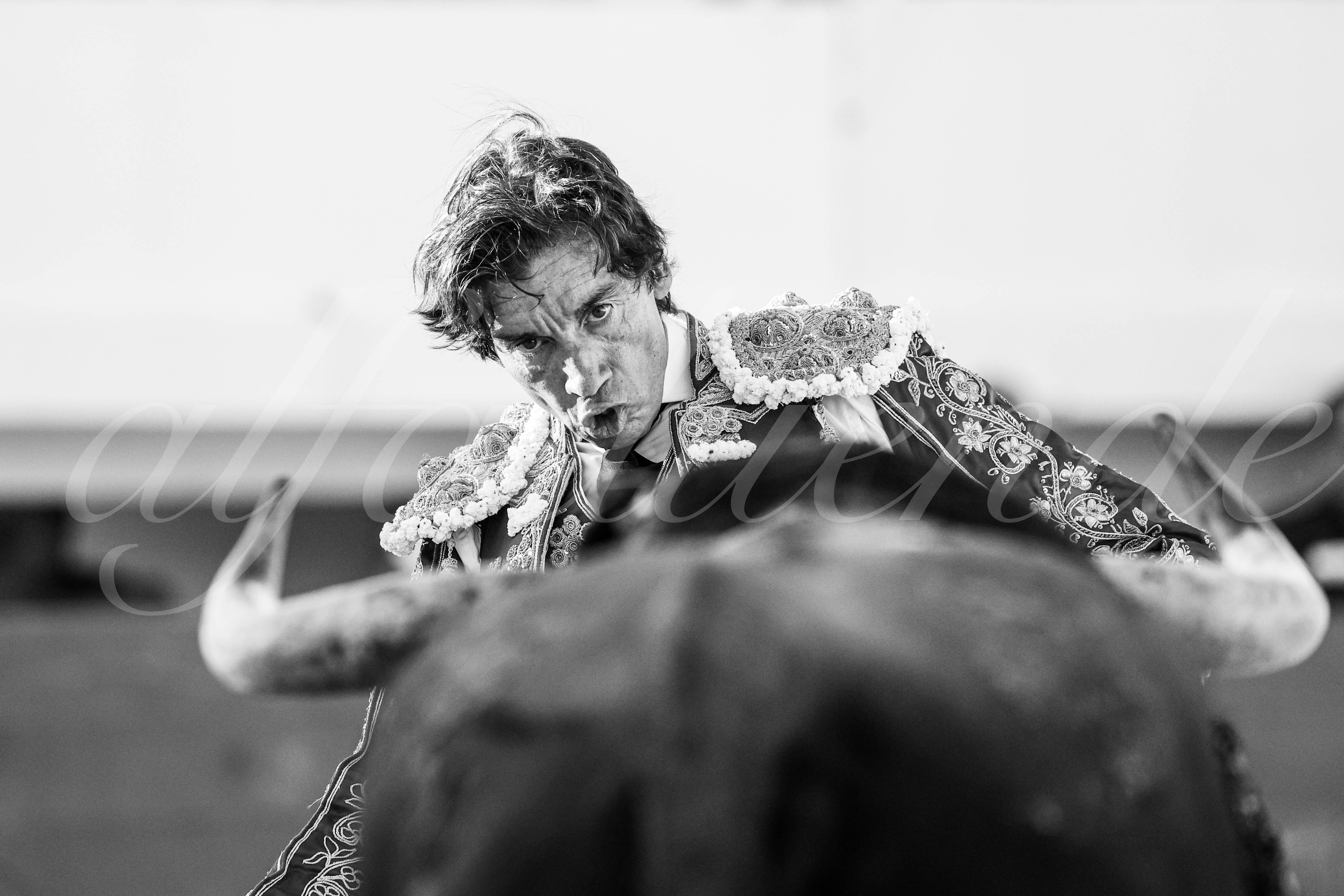 20250803 les stes 007