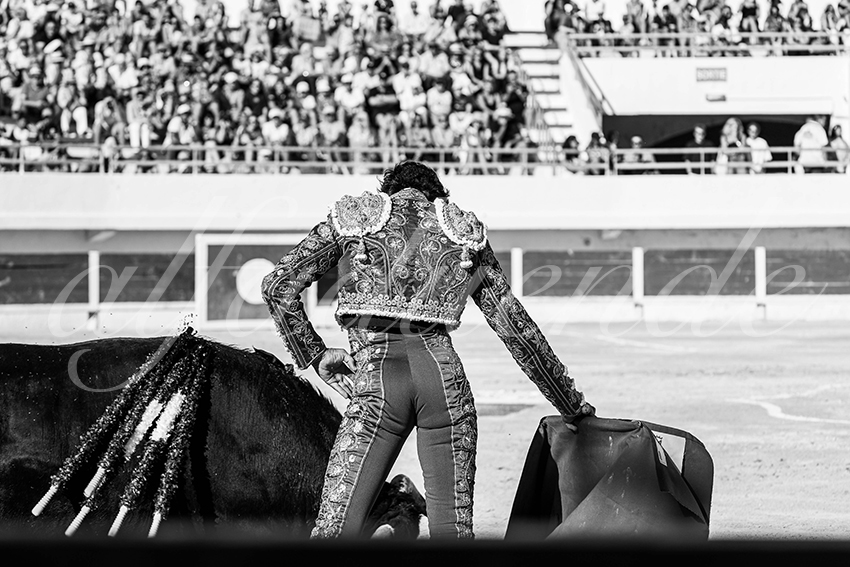 20250803 les stes 006