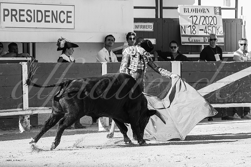 20250803 les stes 005