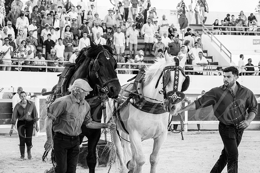 20250803 les stes 027