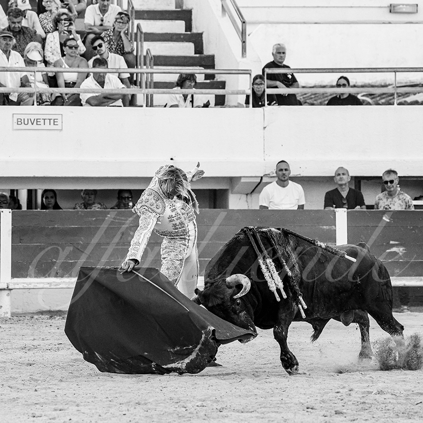 20250803 les stes 026