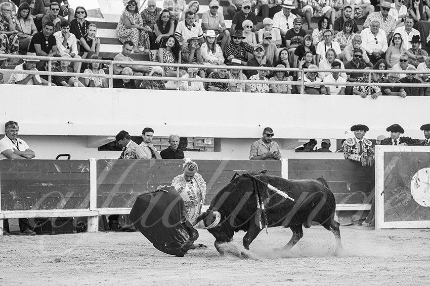 20250803 les stes 025